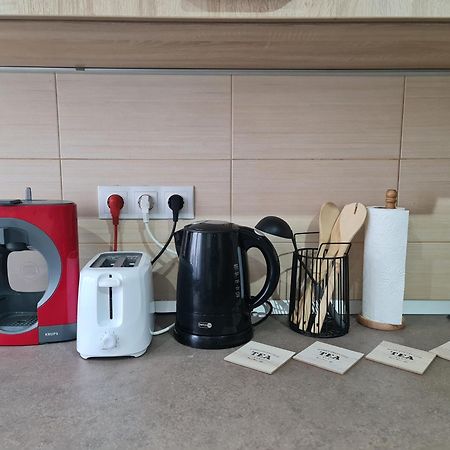 Apartament Modern Cristina&Jessica Mediaş 外观 照片