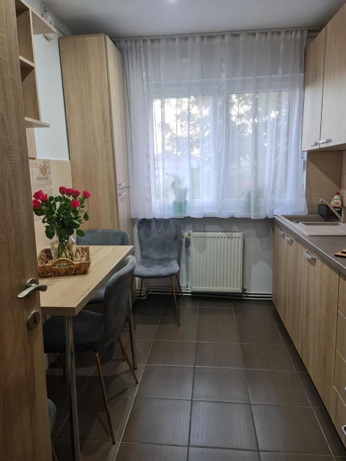 Apartament Modern Cristina&Jessica Mediaş 外观 照片