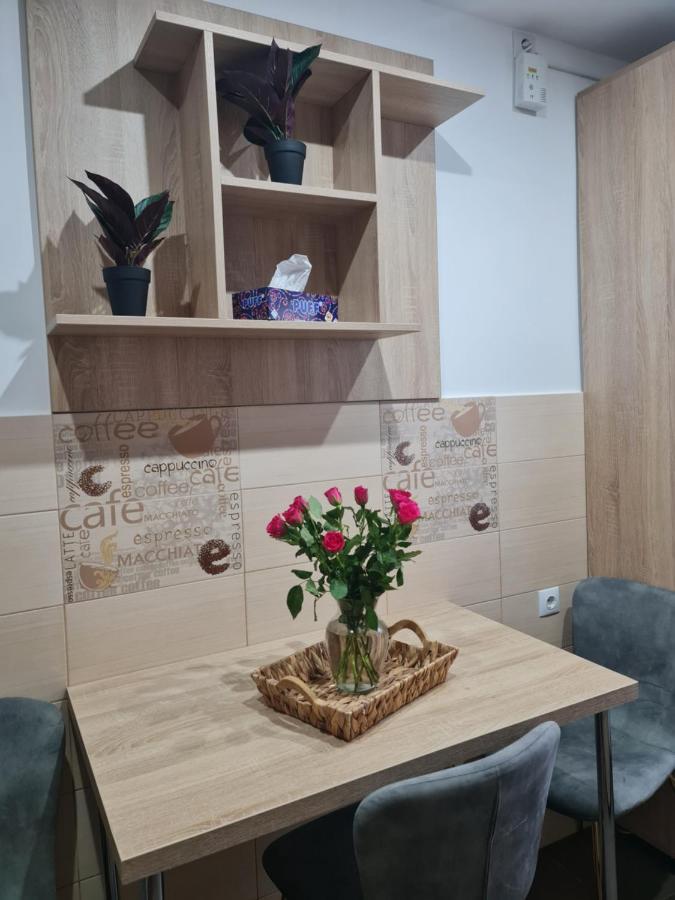 Apartament Modern Cristina&Jessica Mediaş 外观 照片