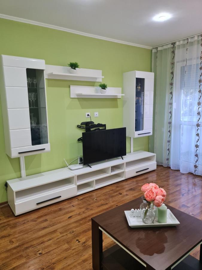 Apartament Modern Cristina&Jessica Mediaş 外观 照片