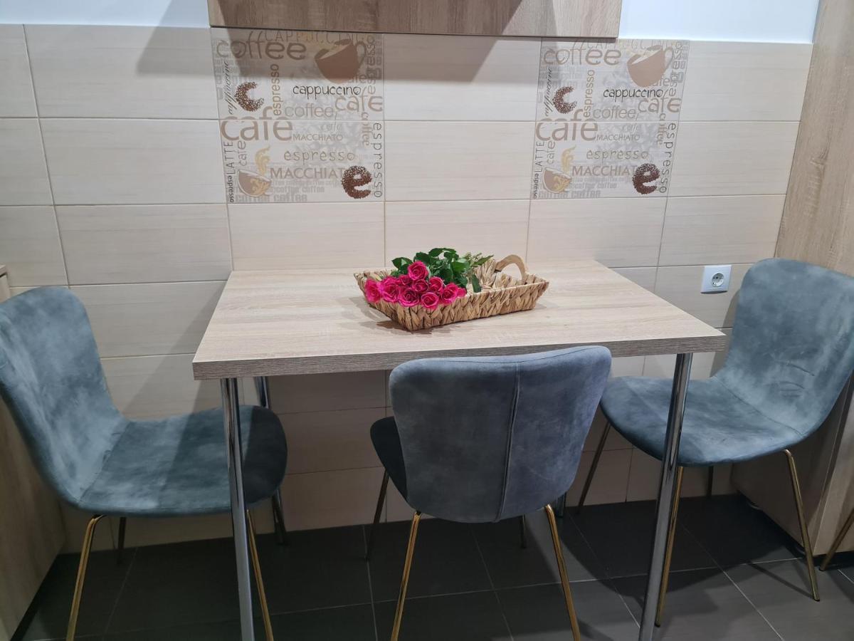 Apartament Modern Cristina&Jessica Mediaş 外观 照片