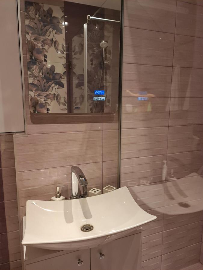 Apartament Modern Cristina&Jessica Mediaş 外观 照片