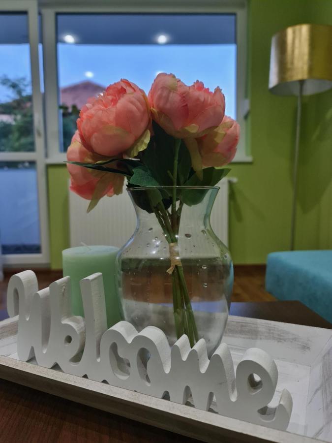 Apartament Modern Cristina&Jessica Mediaş 外观 照片