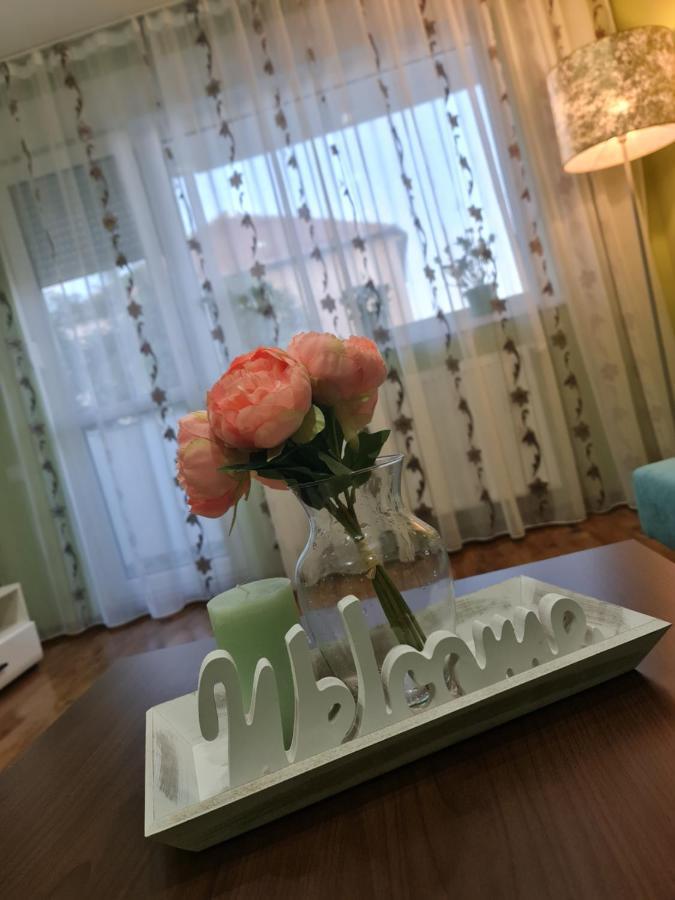 Apartament Modern Cristina&Jessica Mediaş 外观 照片