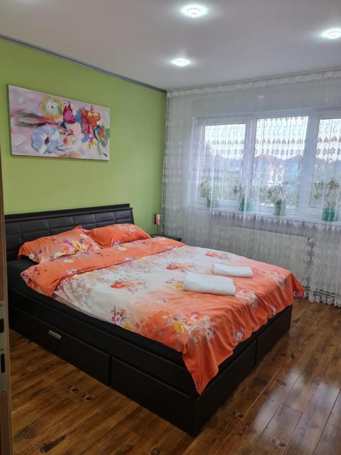 Apartament Modern Cristina&Jessica Mediaş 外观 照片