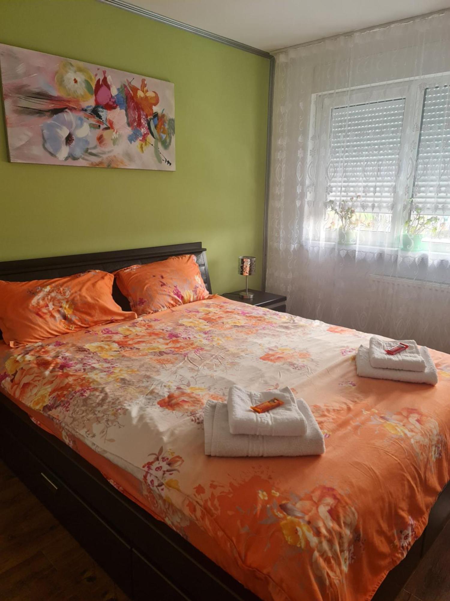 Apartament Modern Cristina&Jessica Mediaş 外观 照片