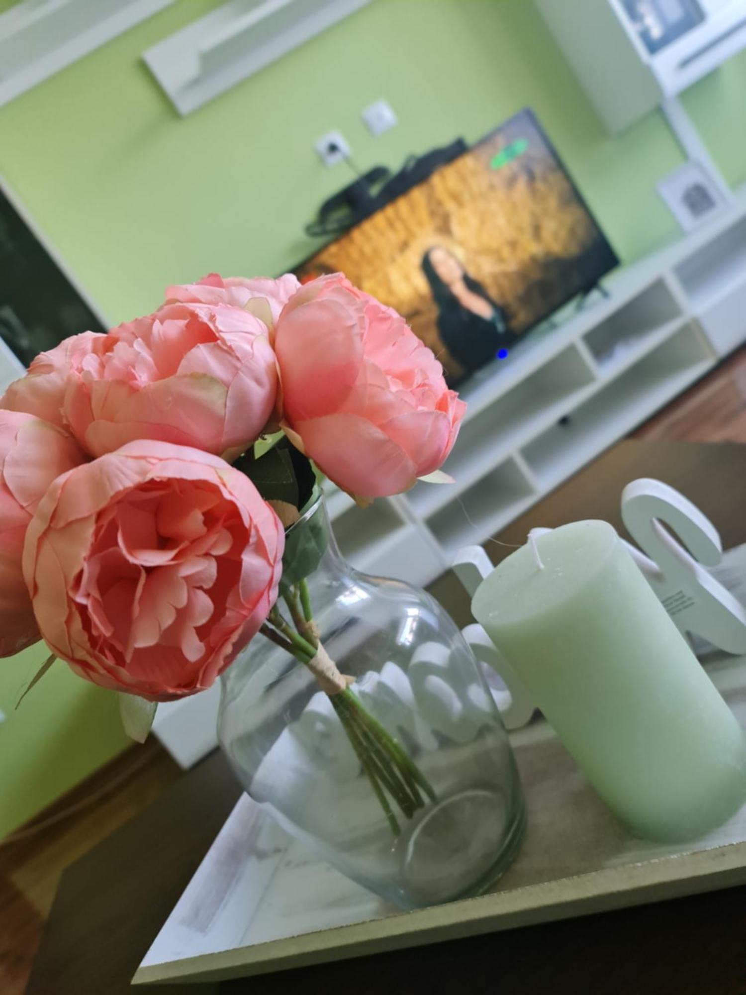 Apartament Modern Cristina&Jessica Mediaş 外观 照片