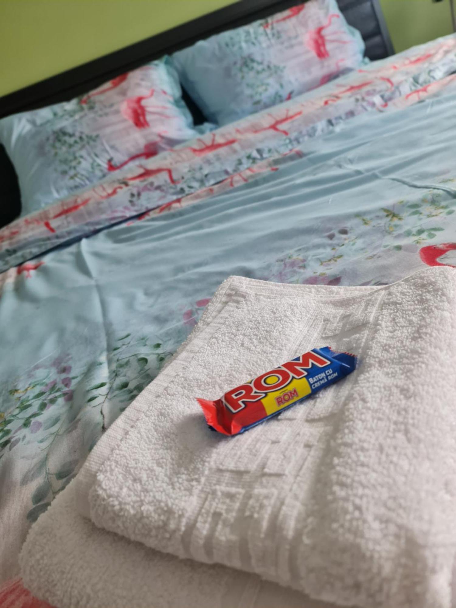 Apartament Modern Cristina&Jessica Mediaş 外观 照片
