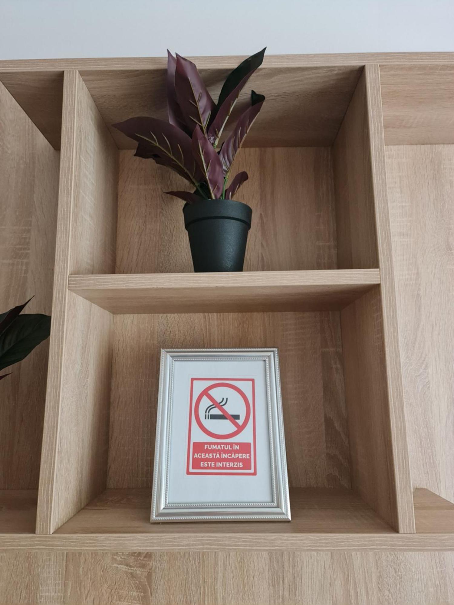 Apartament Modern Cristina&Jessica Mediaş 外观 照片