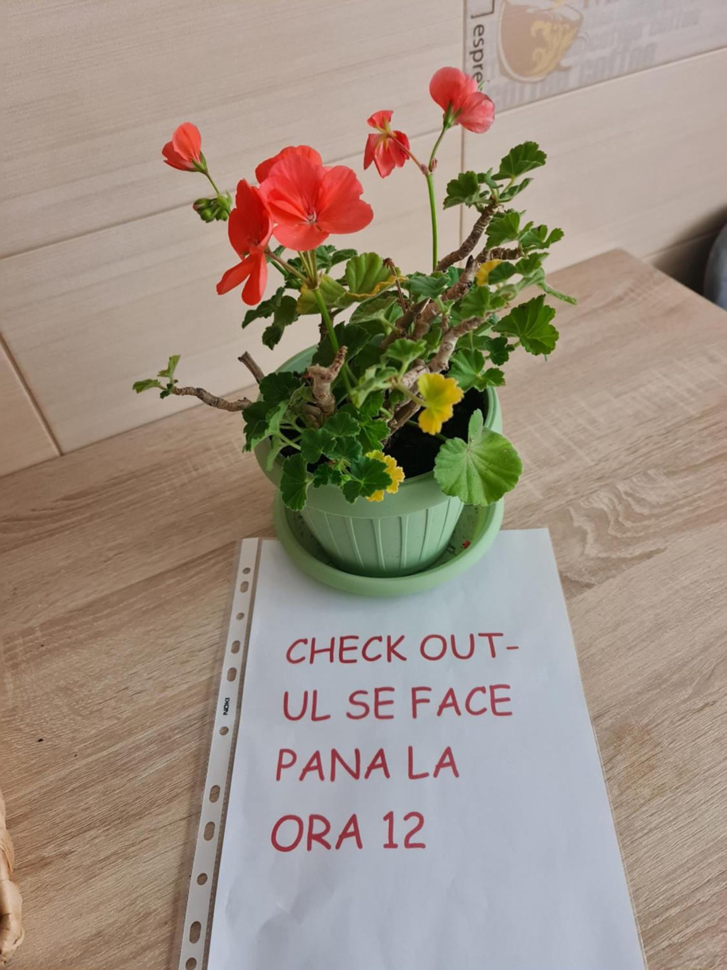 Apartament Modern Cristina&Jessica Mediaş 外观 照片