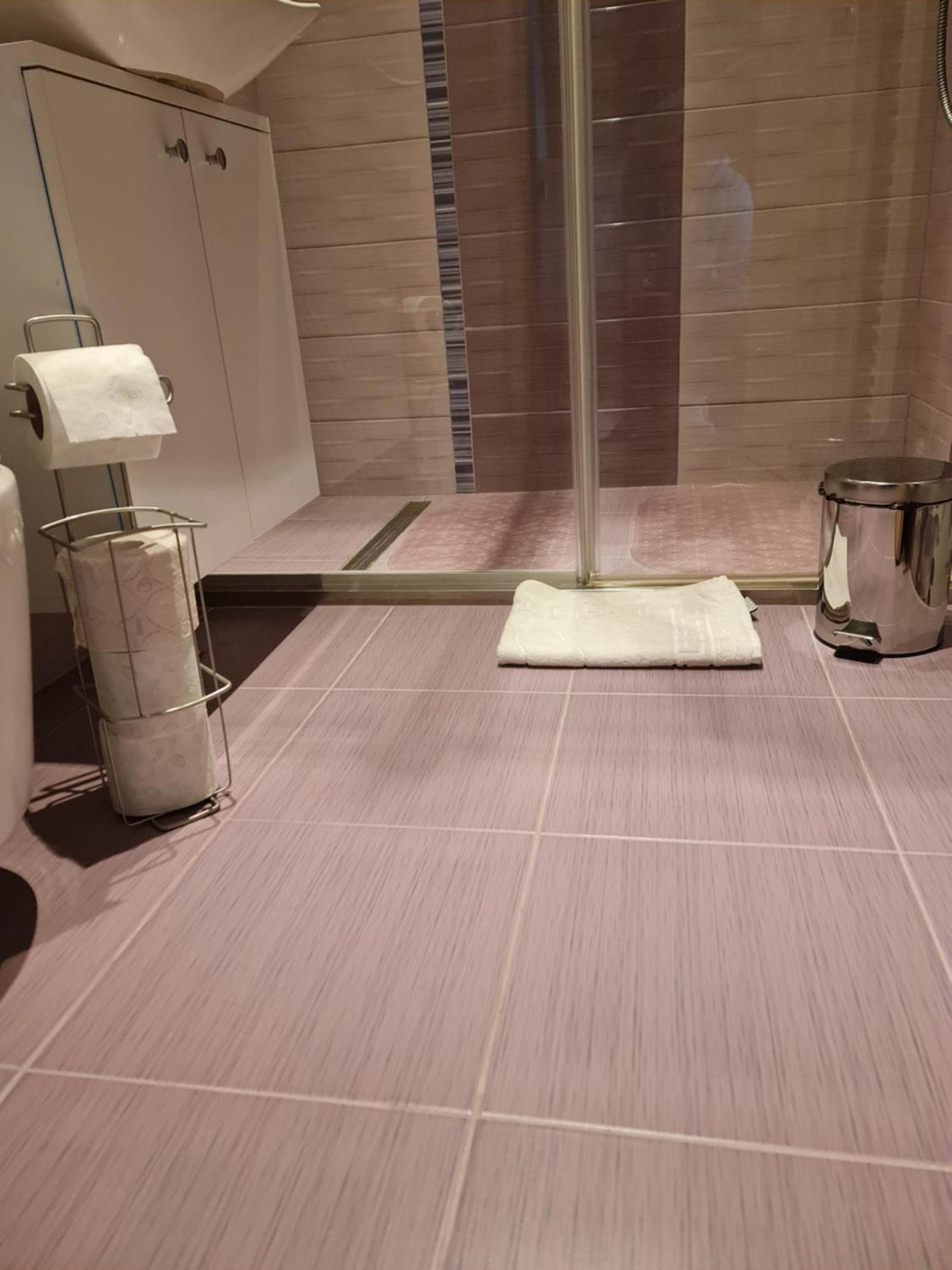 Apartament Modern Cristina&Jessica Mediaş 外观 照片