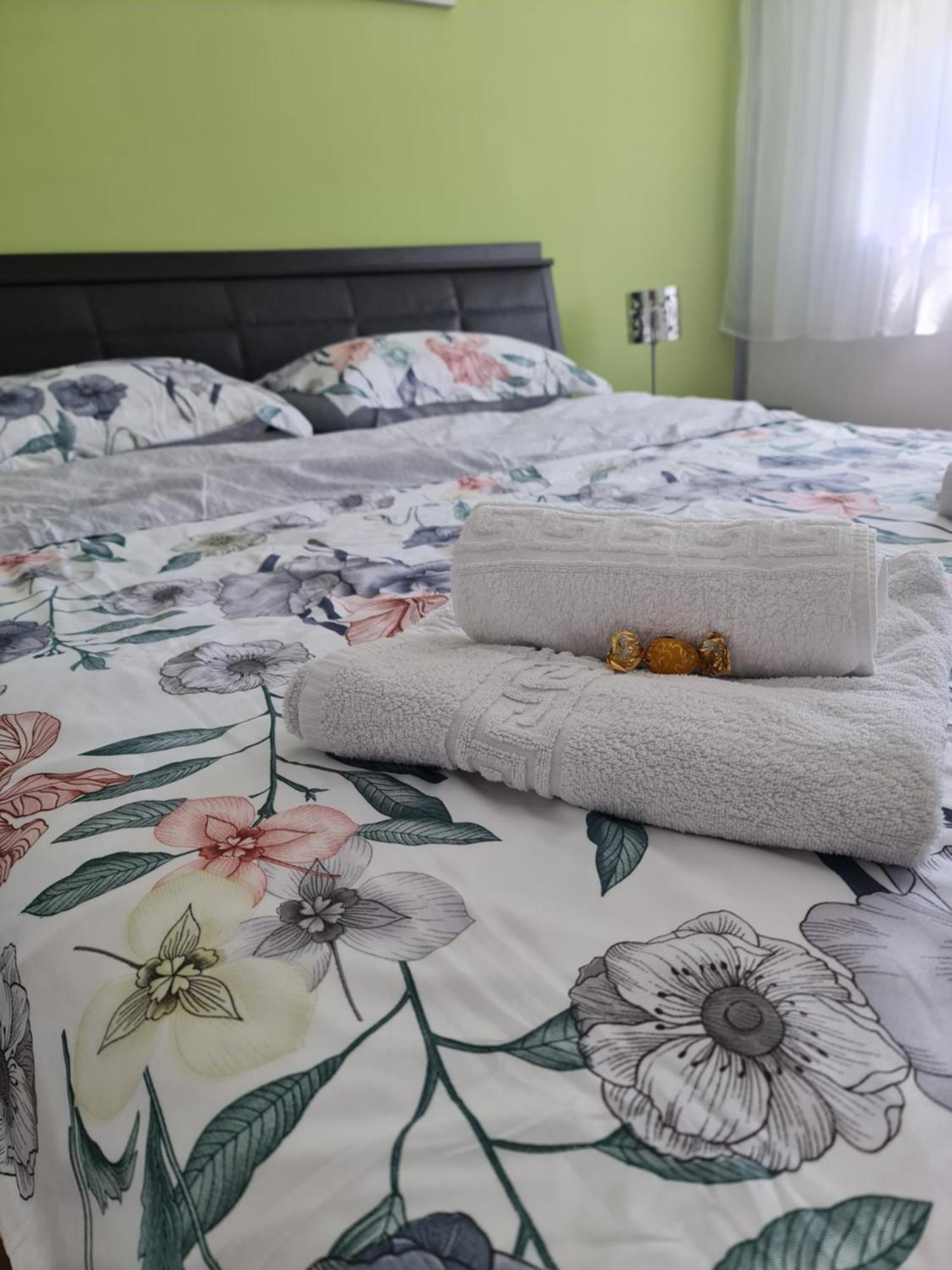 Apartament Modern Cristina&Jessica Mediaş 外观 照片